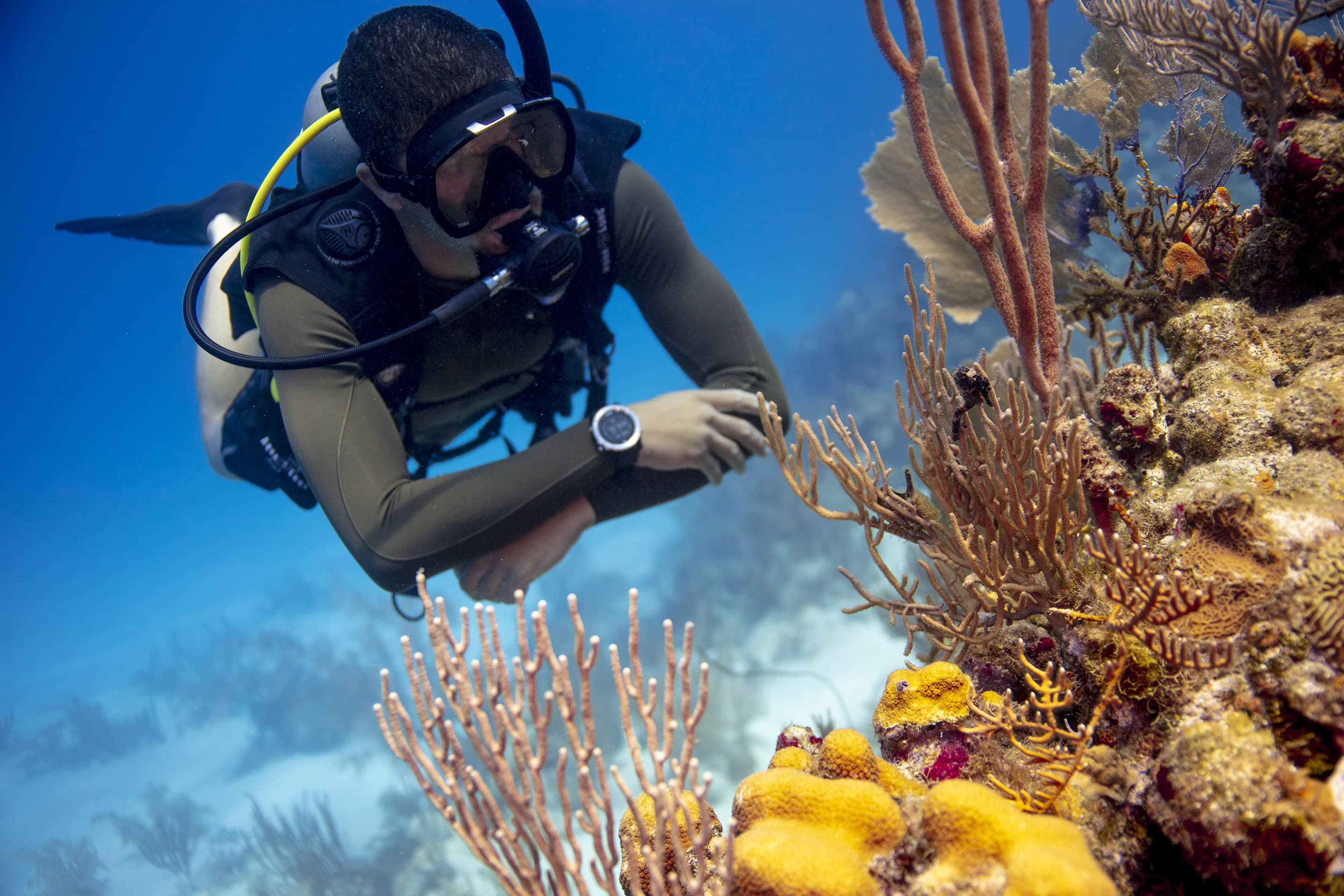 Bubble Dive Pemuteran