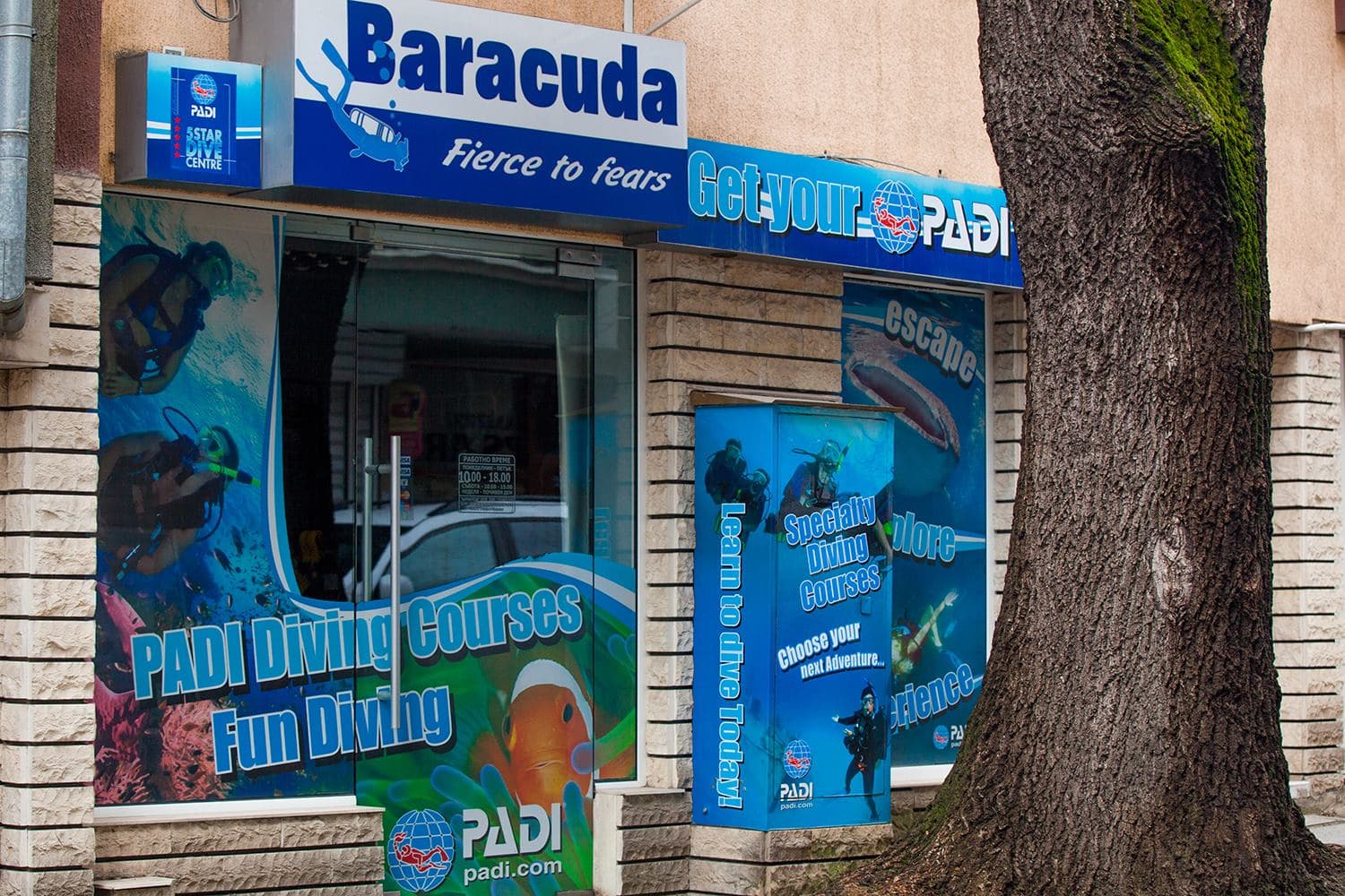 Baracuda