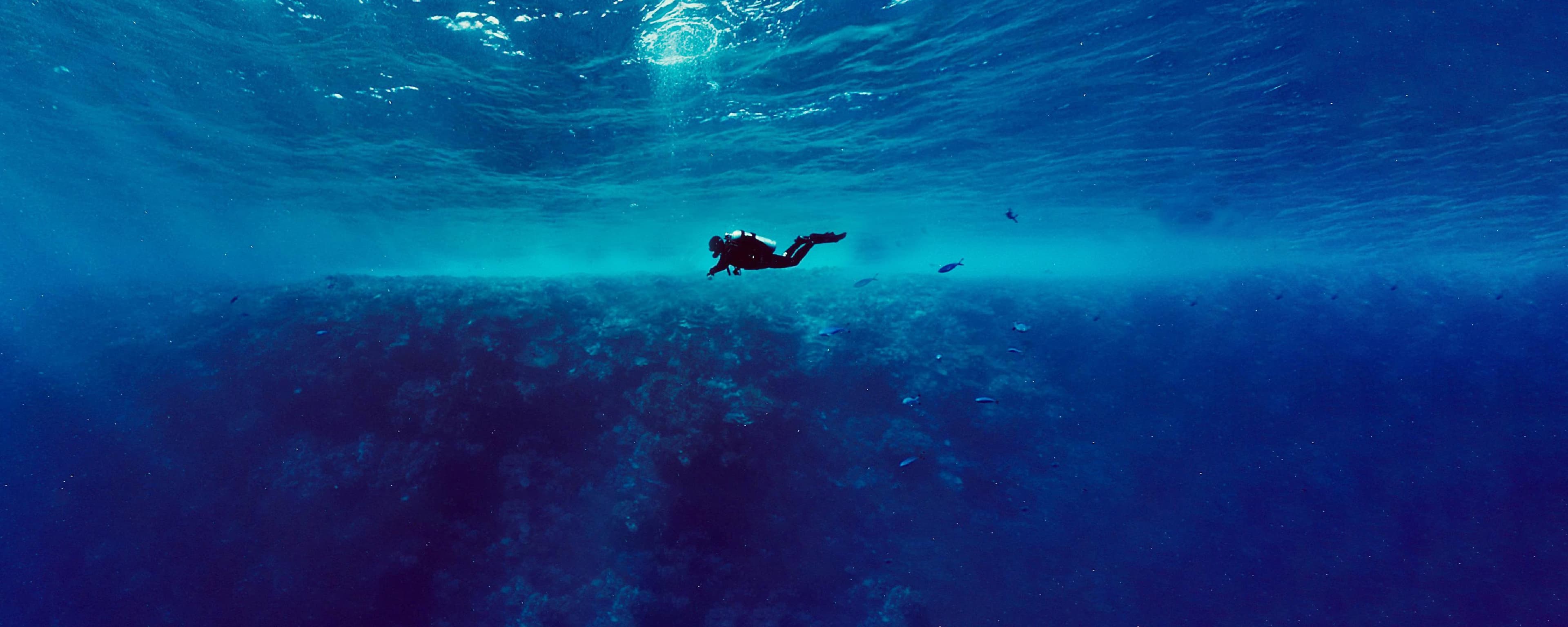 The One dive Center
