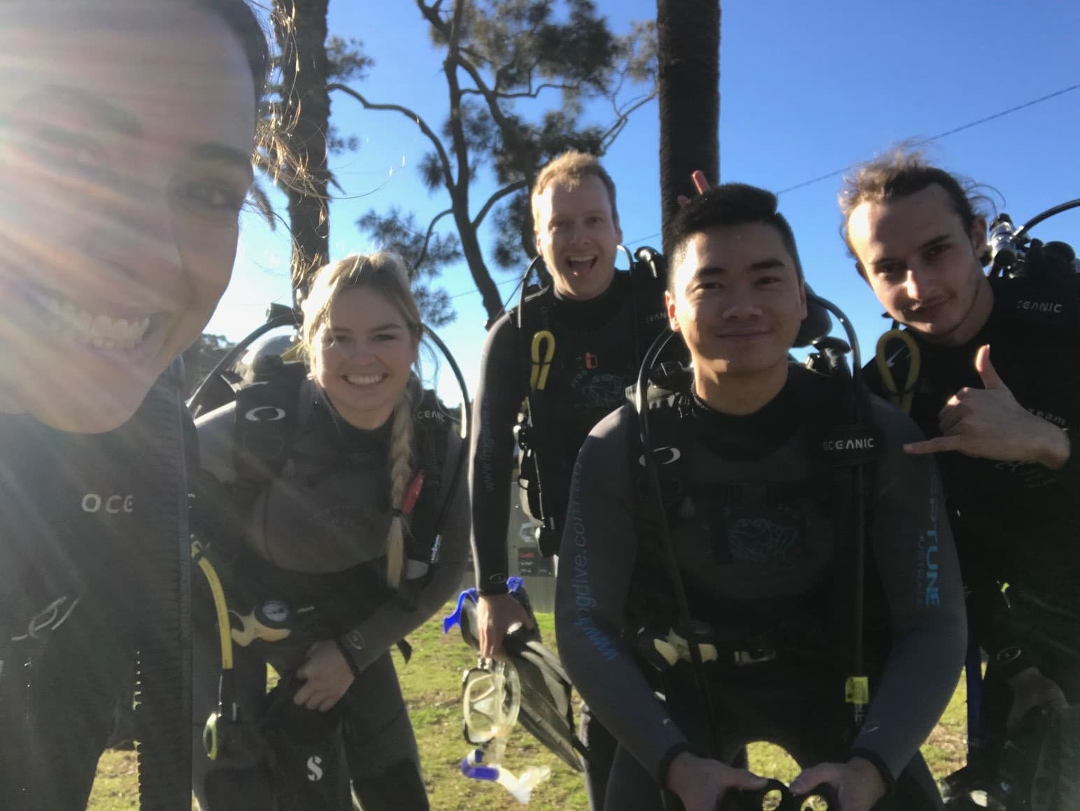 Frog Dive Sydney