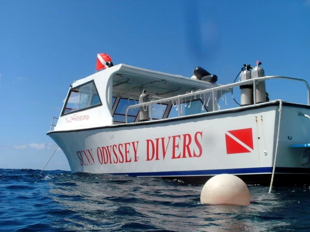 Sunn Odyssey Divers
