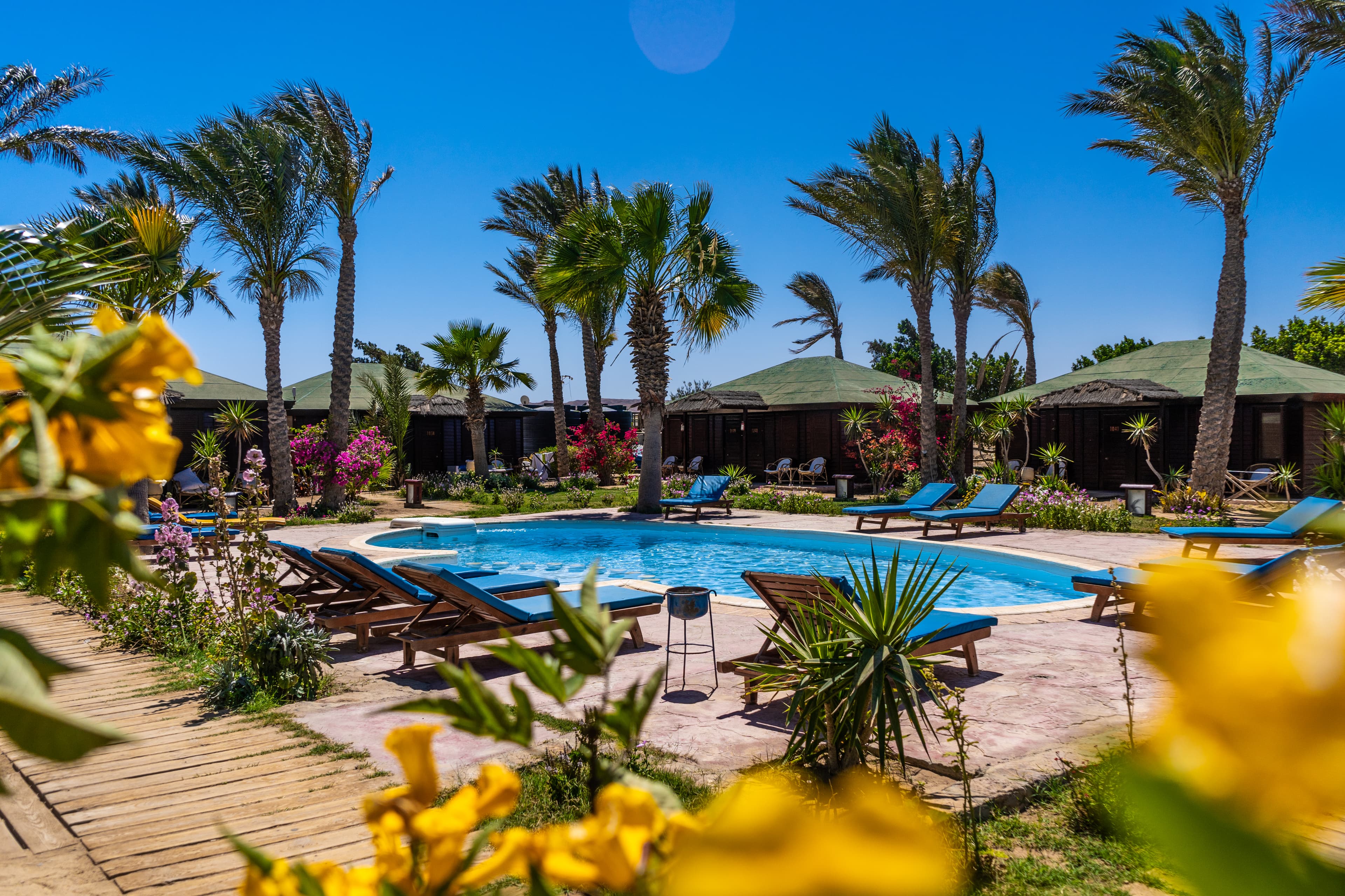 Blue Ocean Marsa Alam