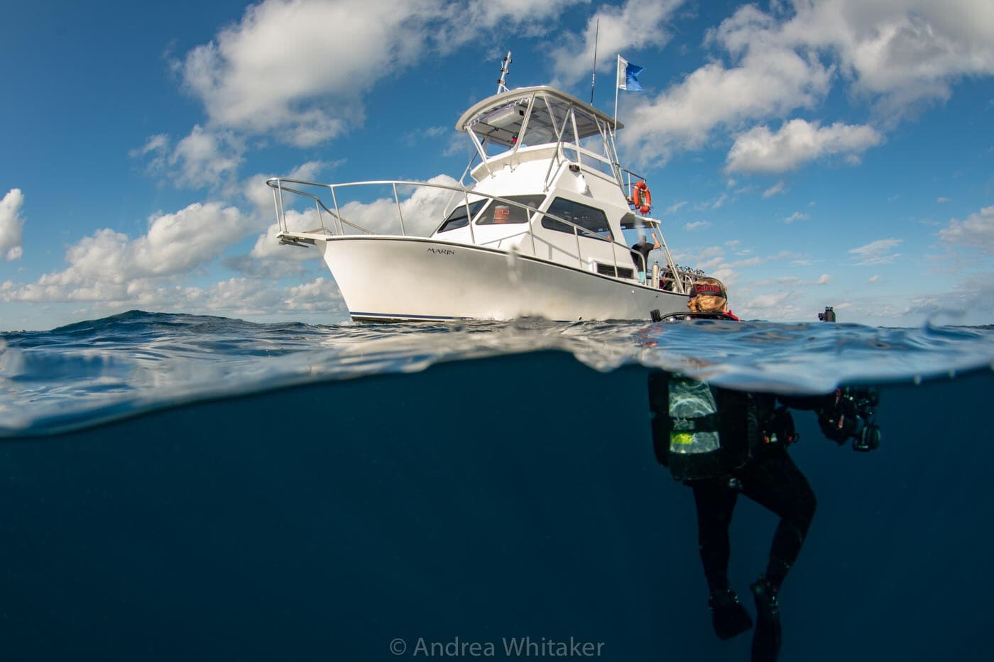 Pura Vida Divers