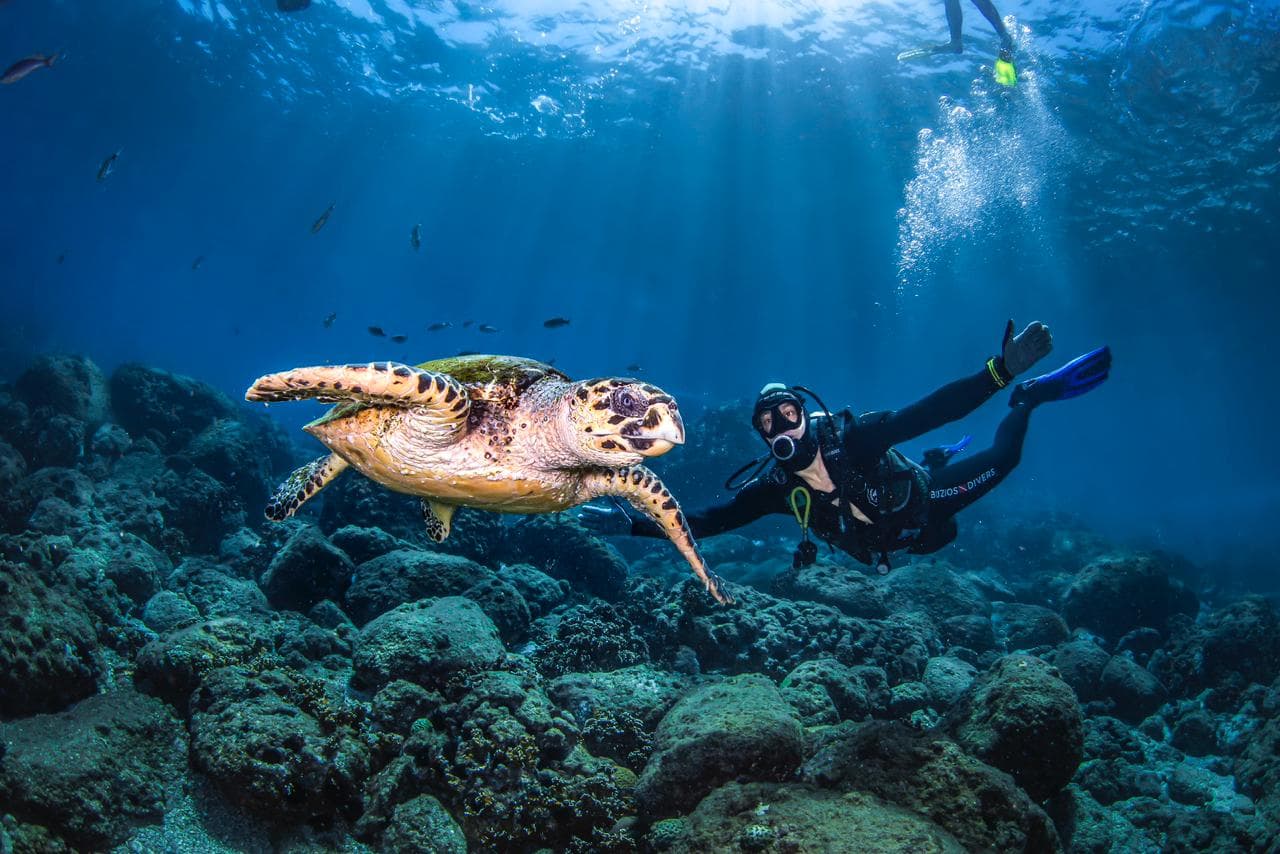 Buzios Divers