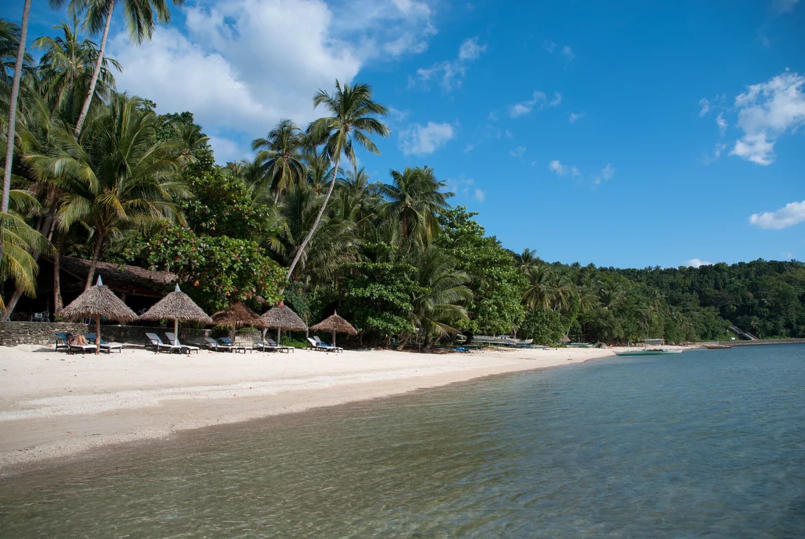 Easy Diving Sipalay