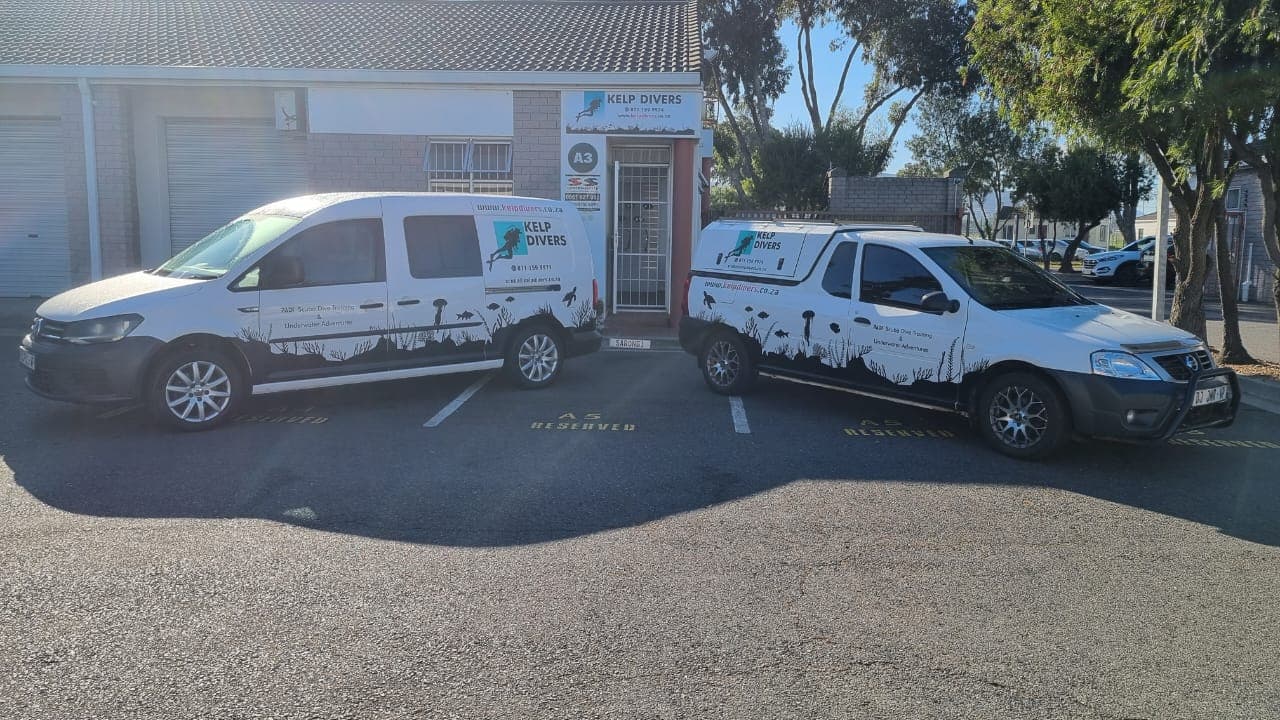 Kelp Divers