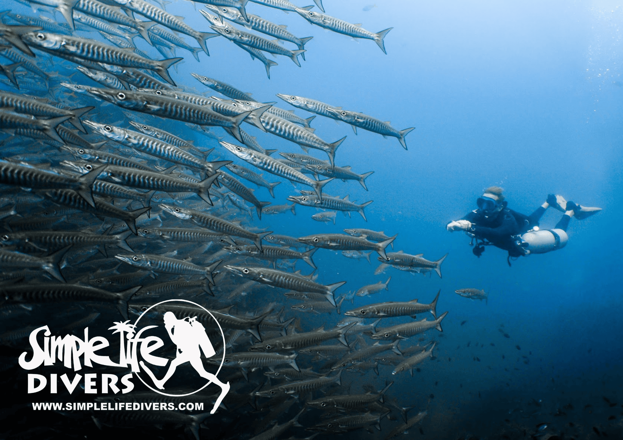 Simple Life Divers