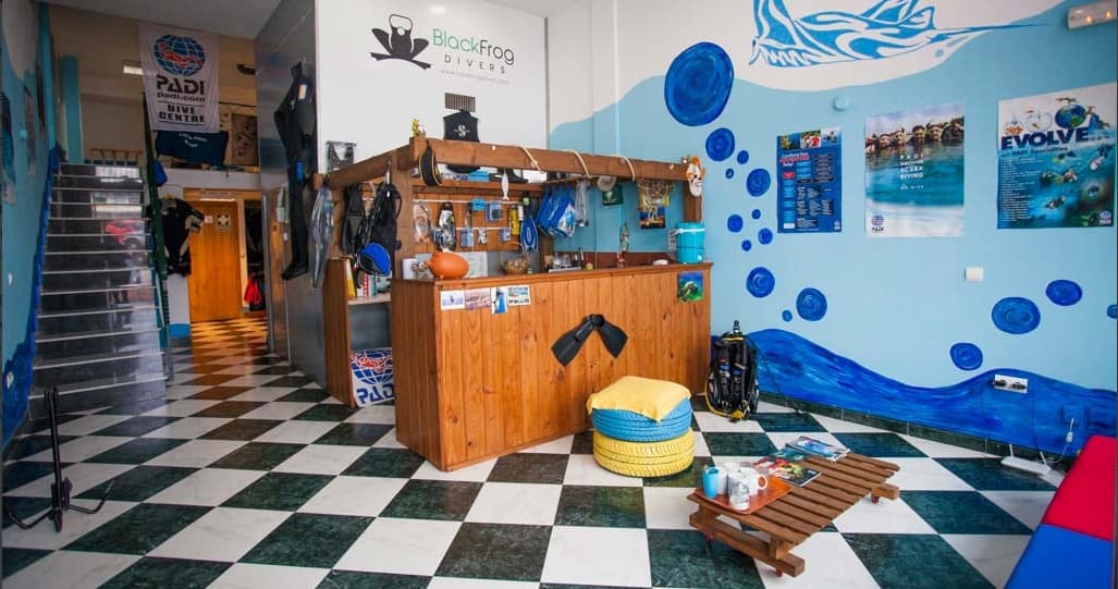 Black Frog Divers