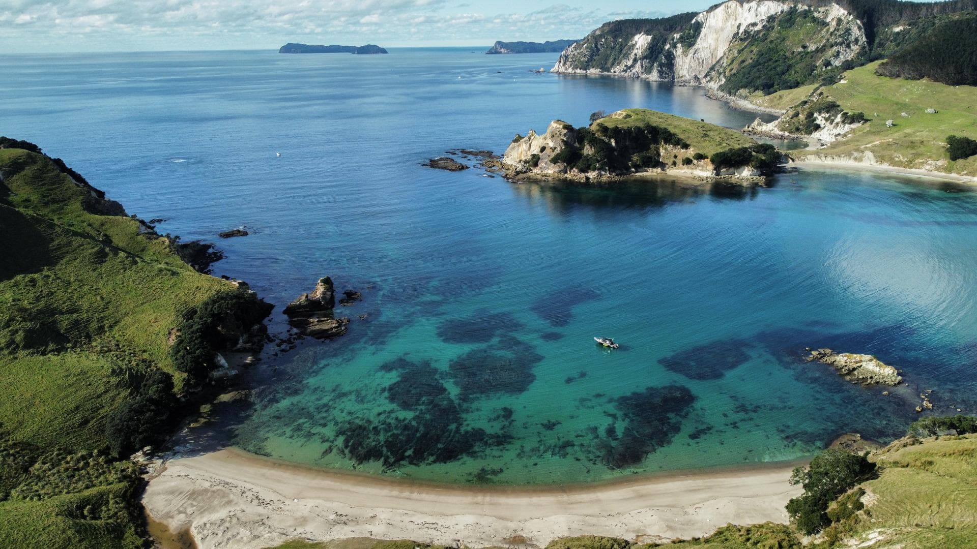 Dive Zone Whitianga