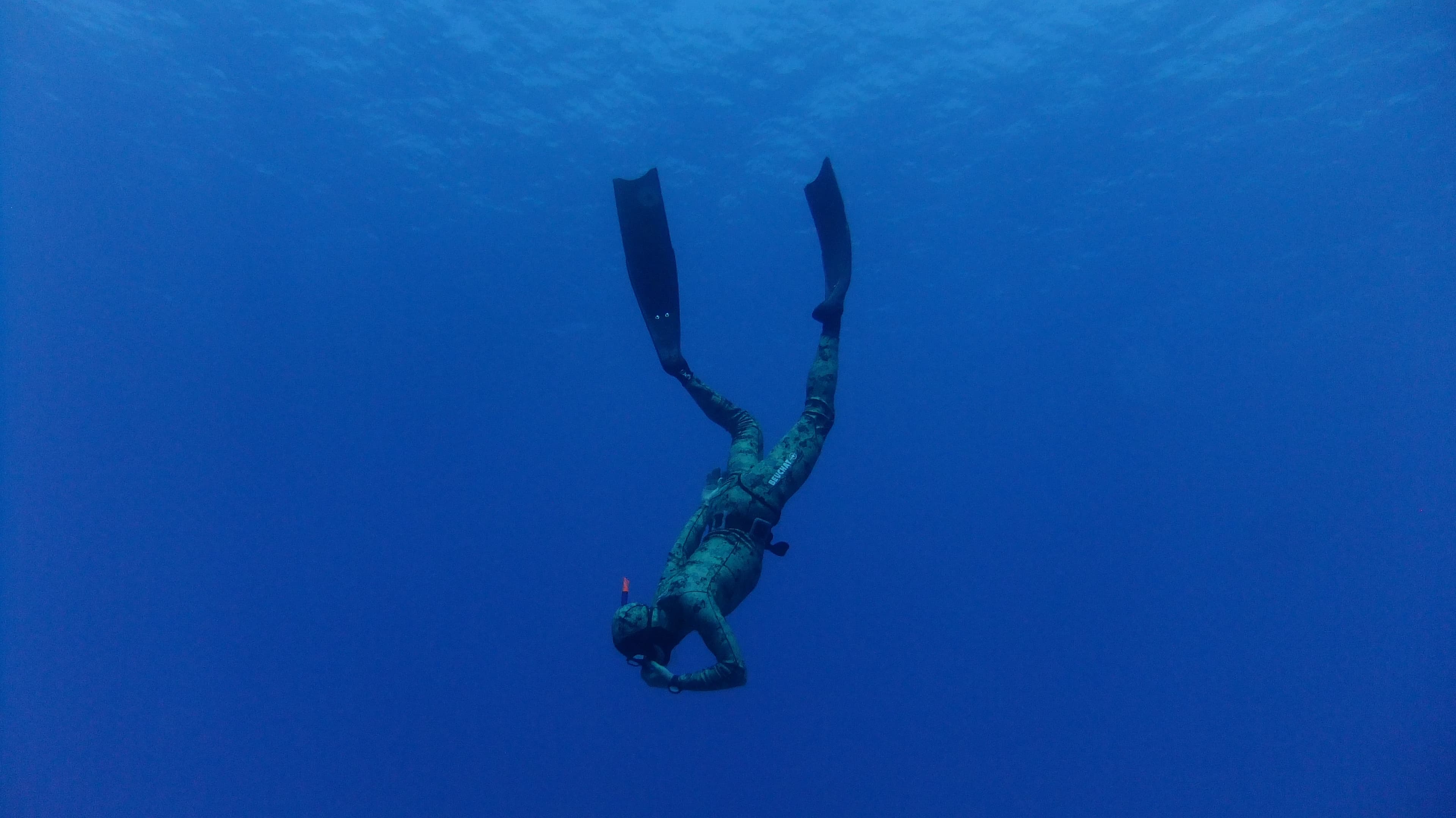 Tempo Freedivers