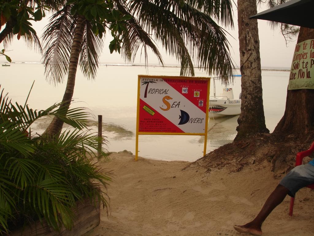 Tropical Sea Divers