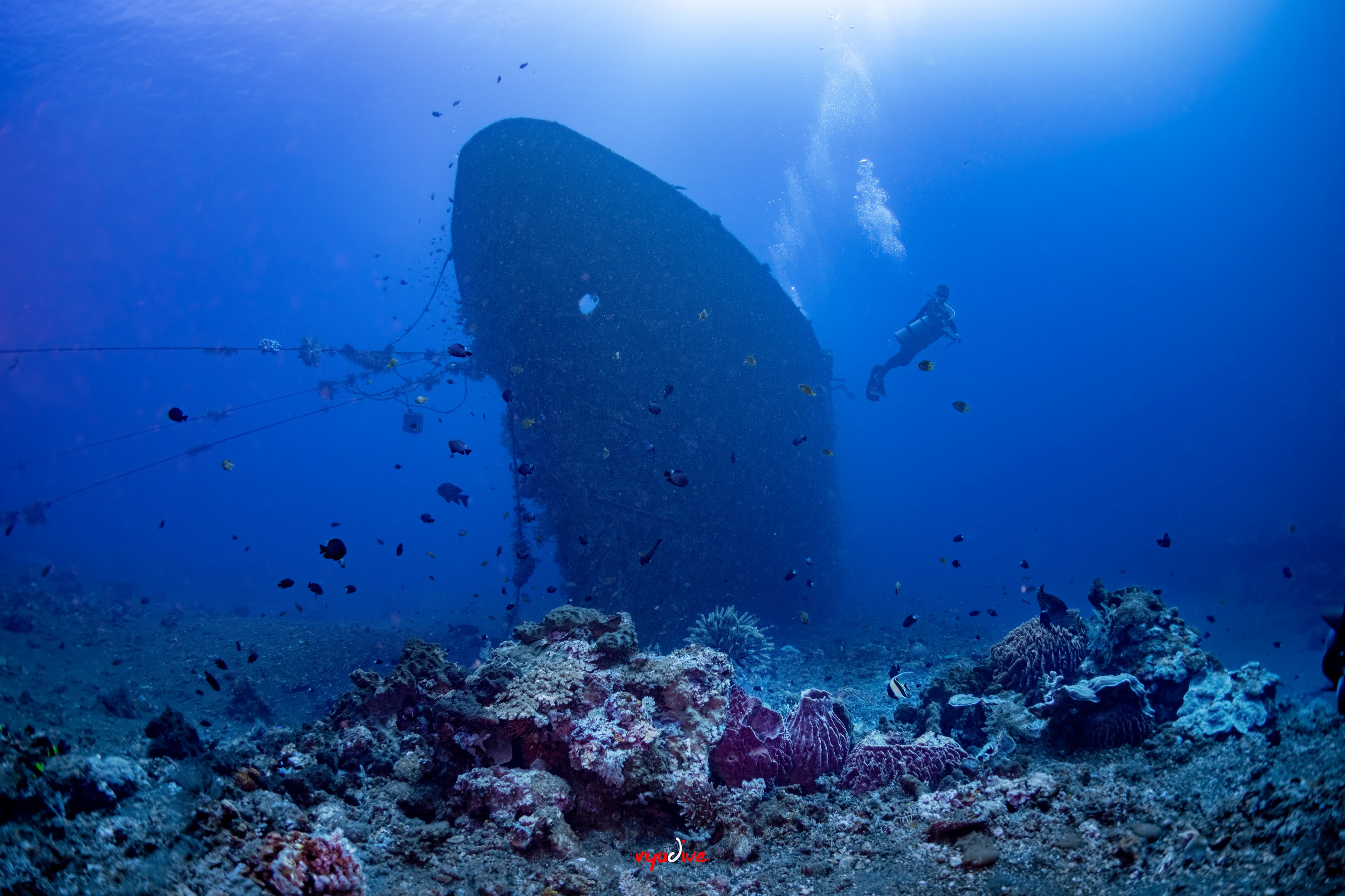 Tulamben Scuba