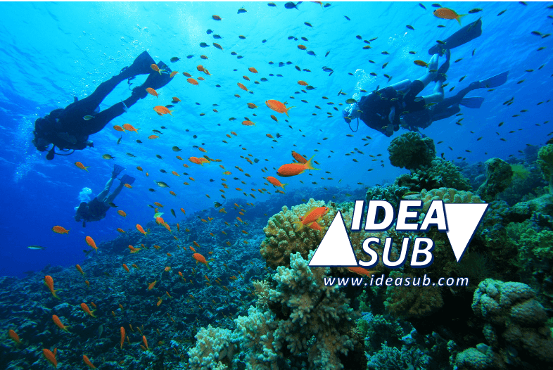Idea Sub