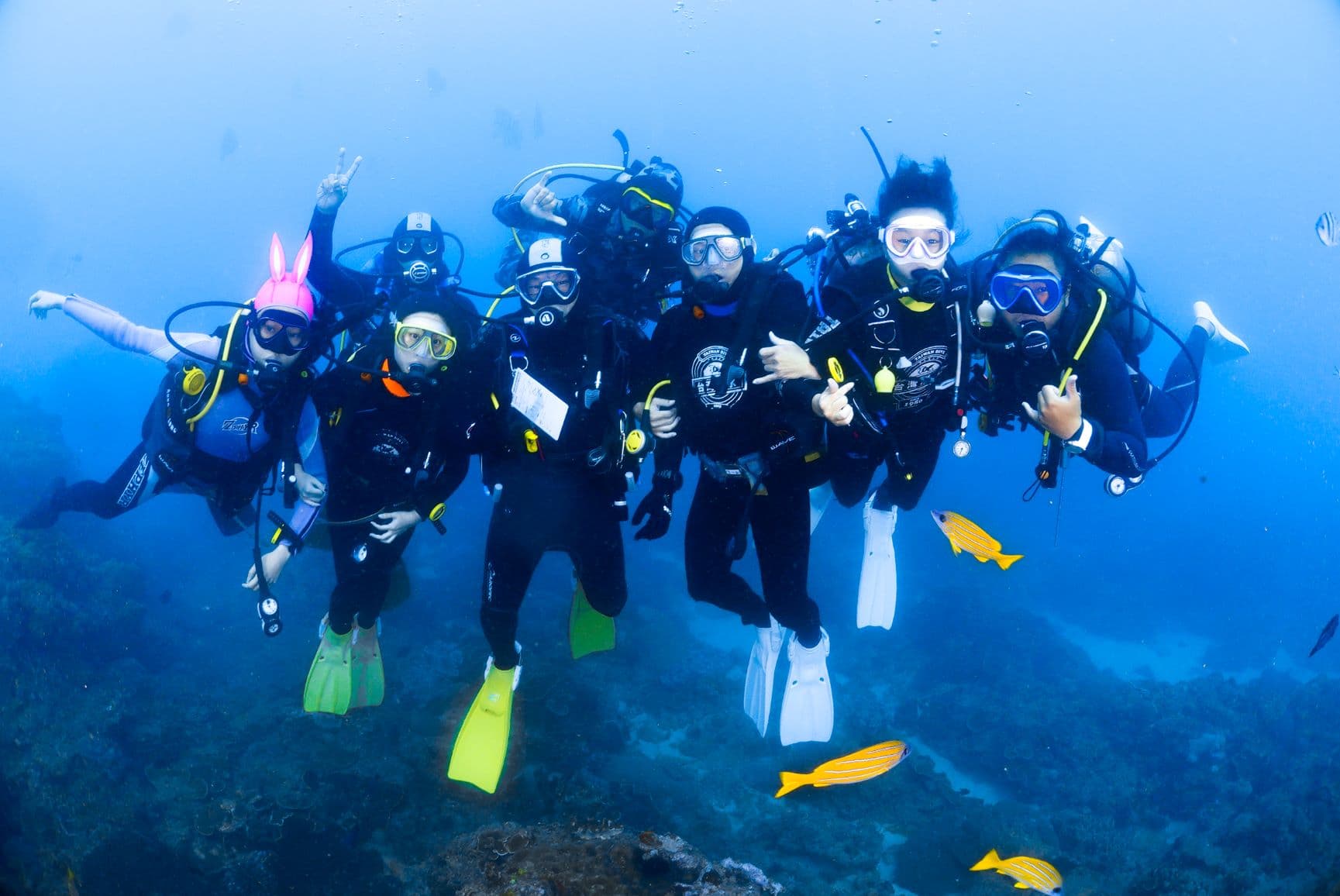 Taiwan Dive