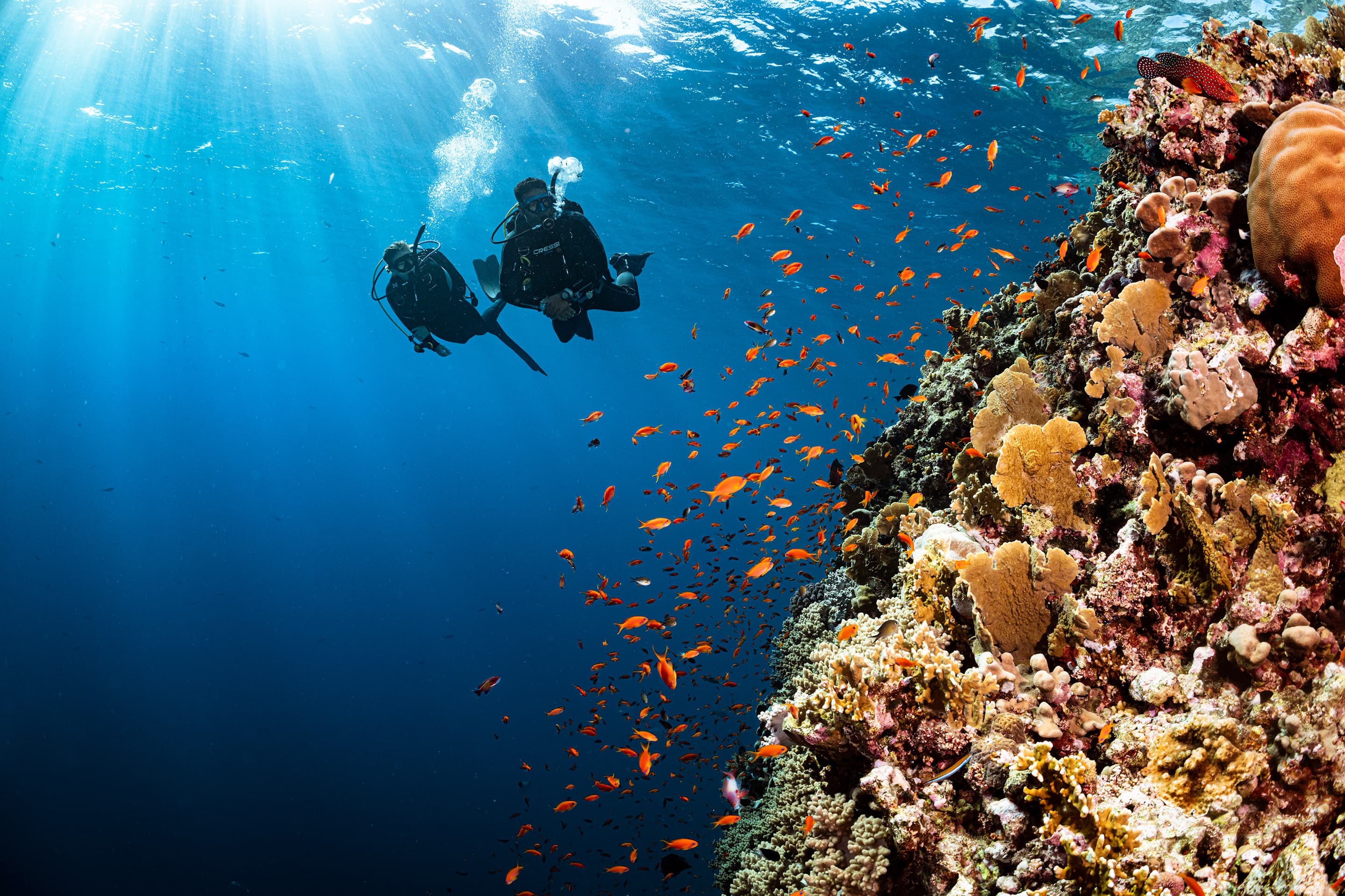 Ocean Lovers Taganga