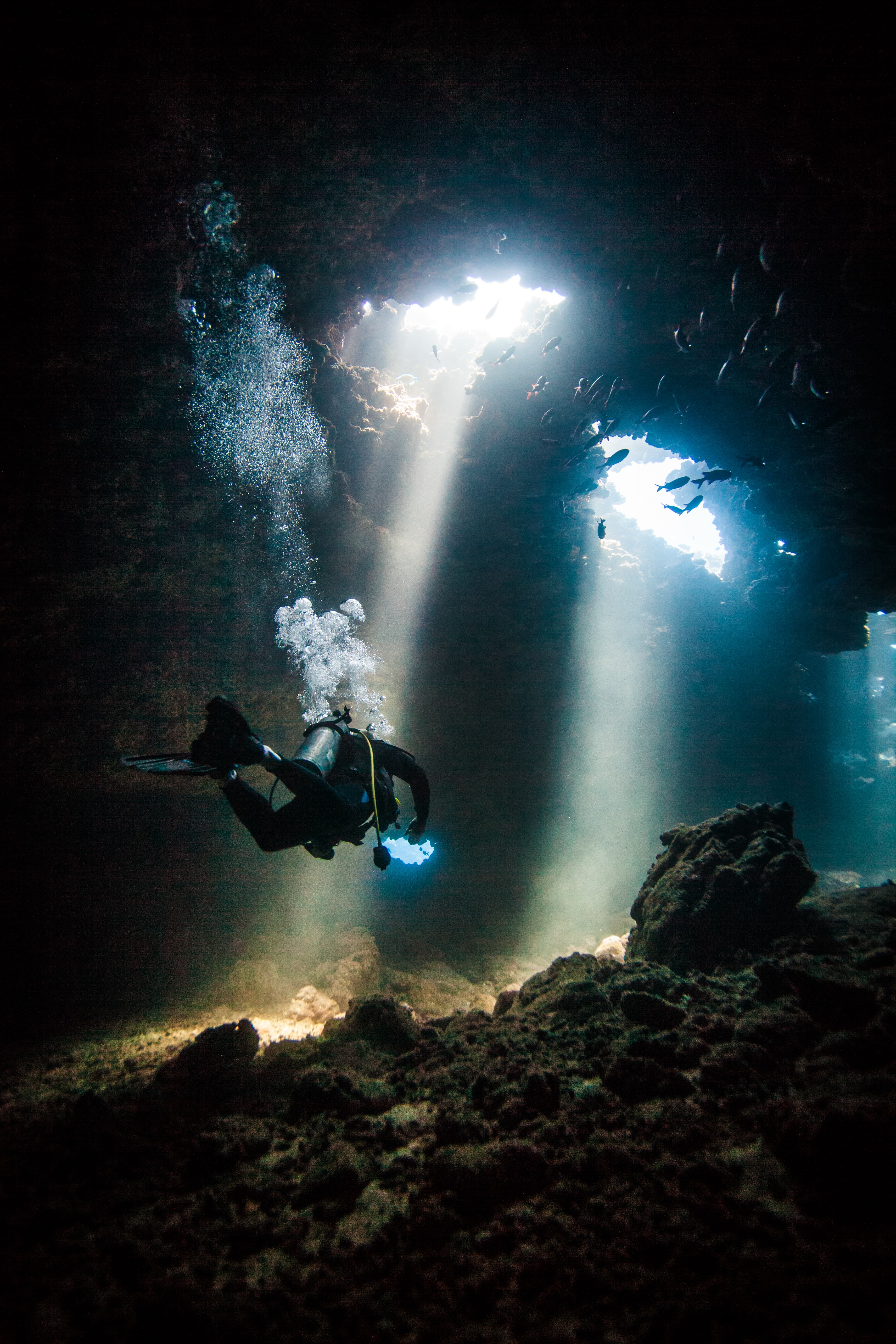 Dive Maui
