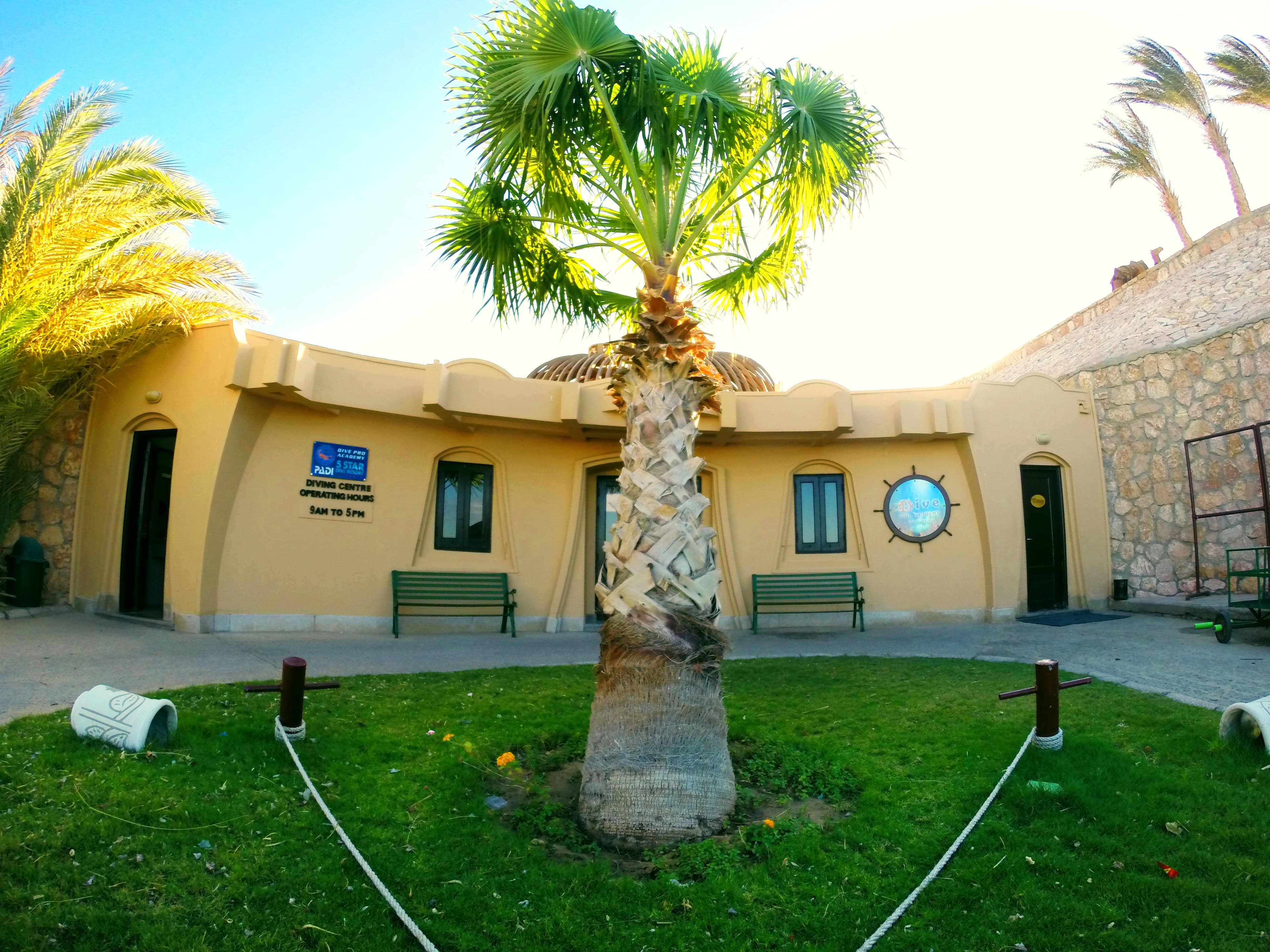 Dive Pro Academy
