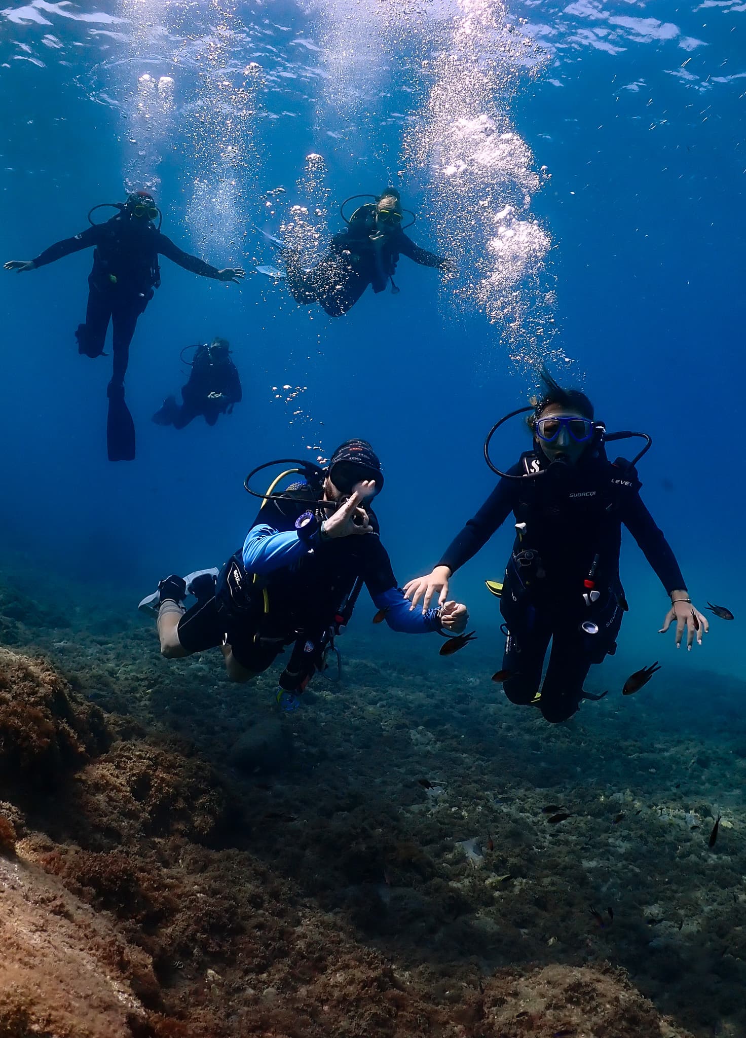 Diving with Nic