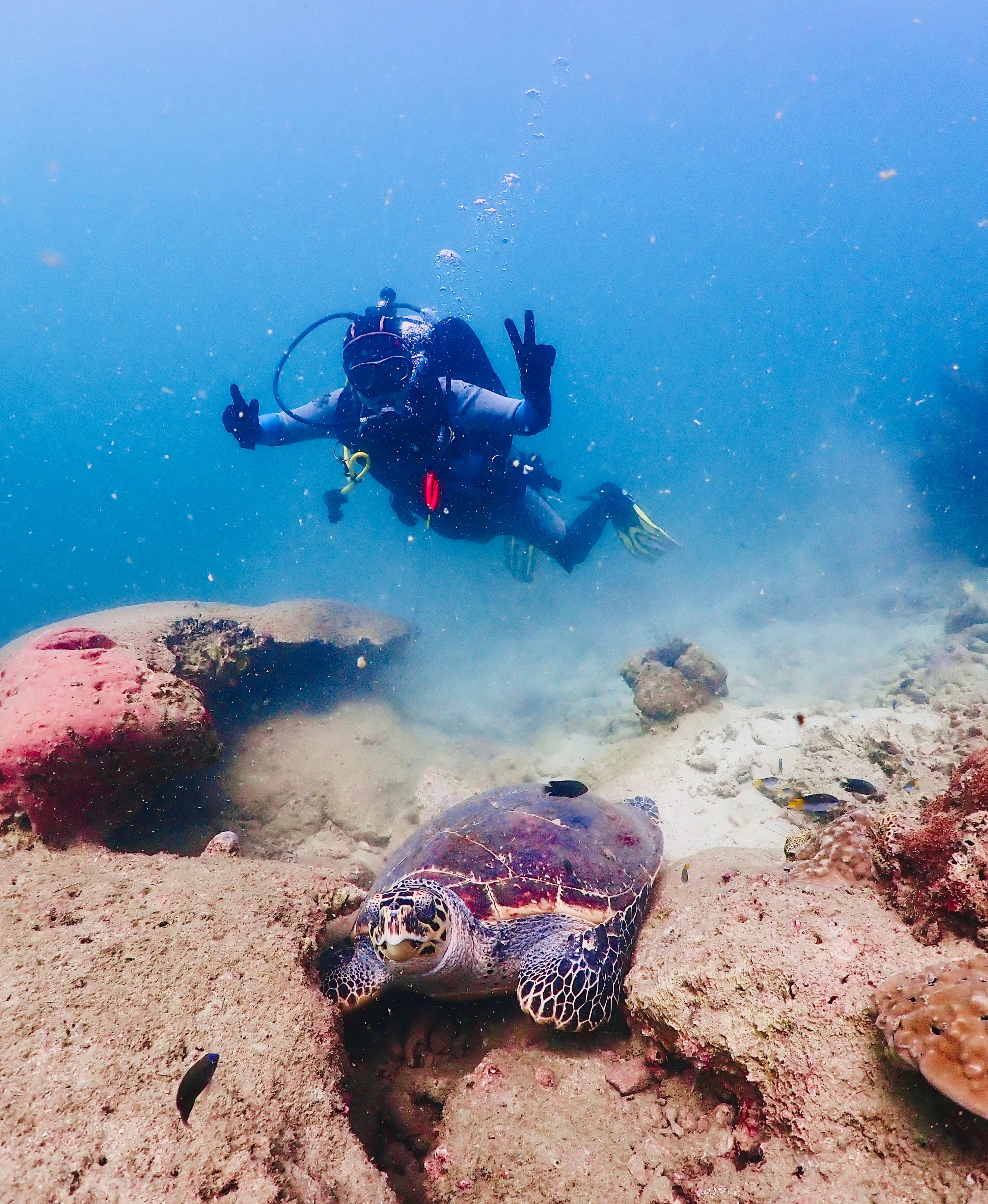 Adventure Divers