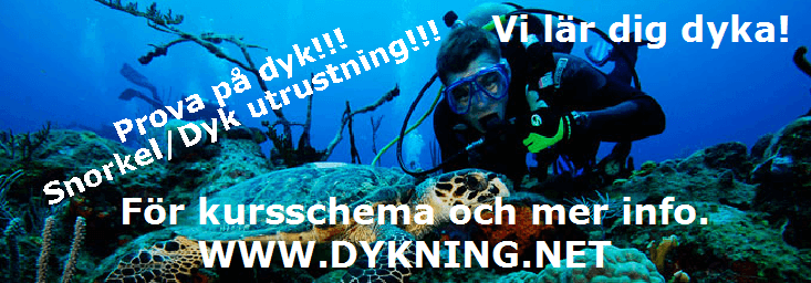 Dykning.net AB