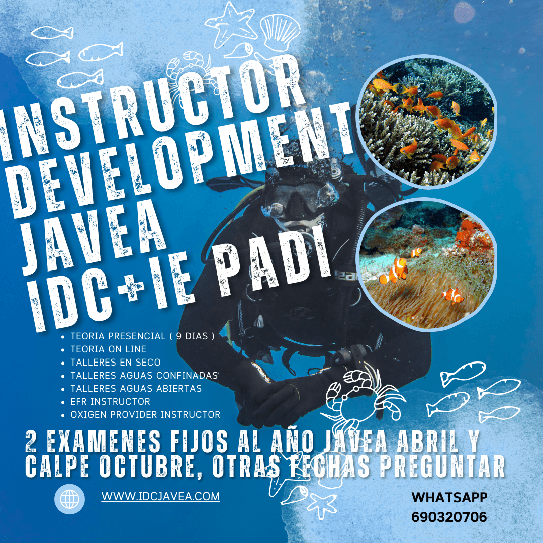 Buceo Puerto Javea