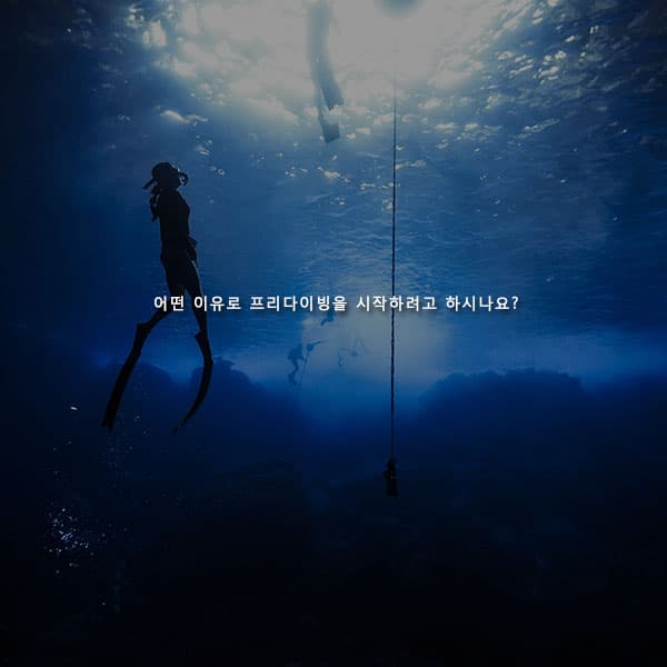Dive Wish