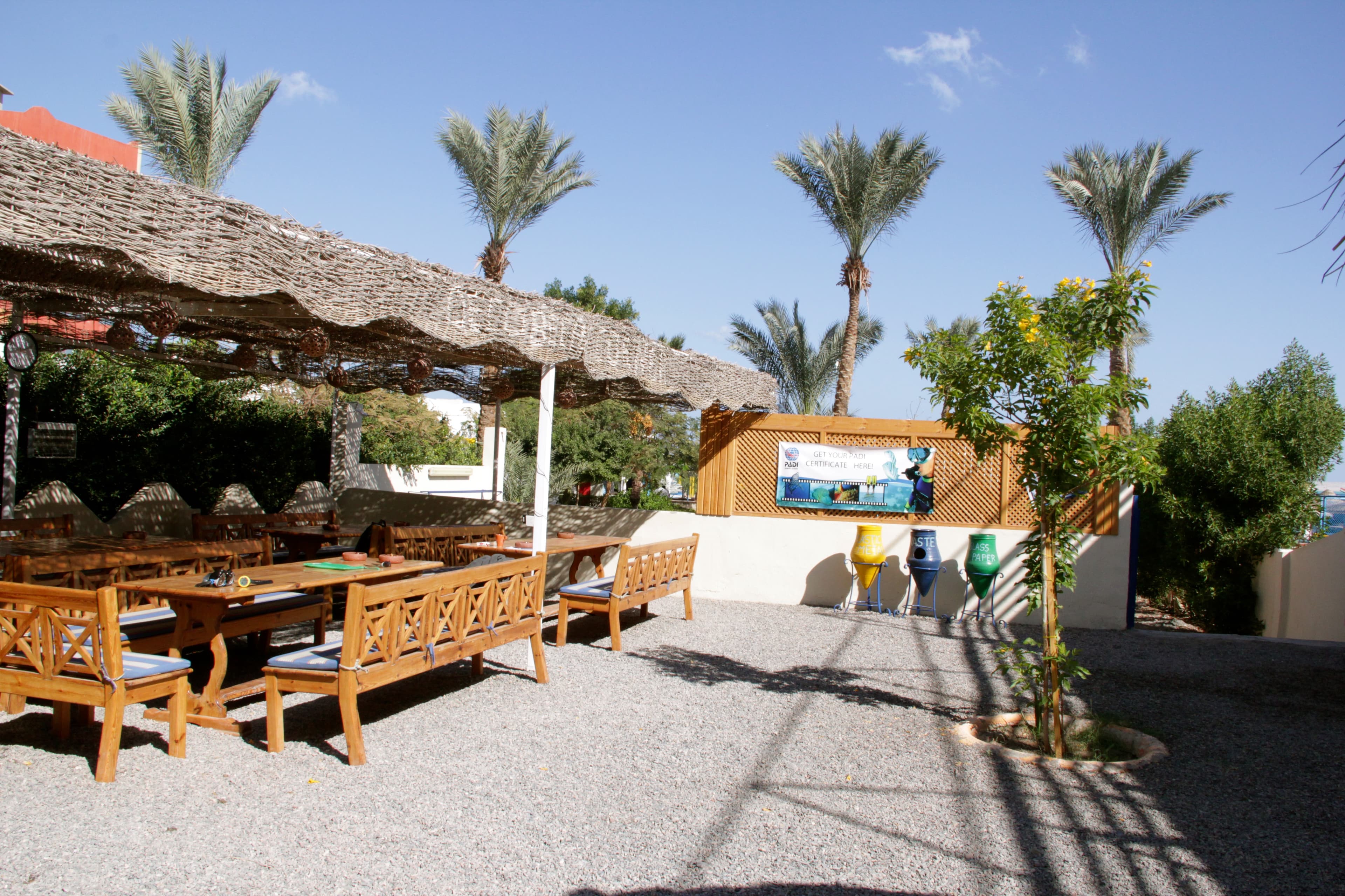 Dive Point Red Sea