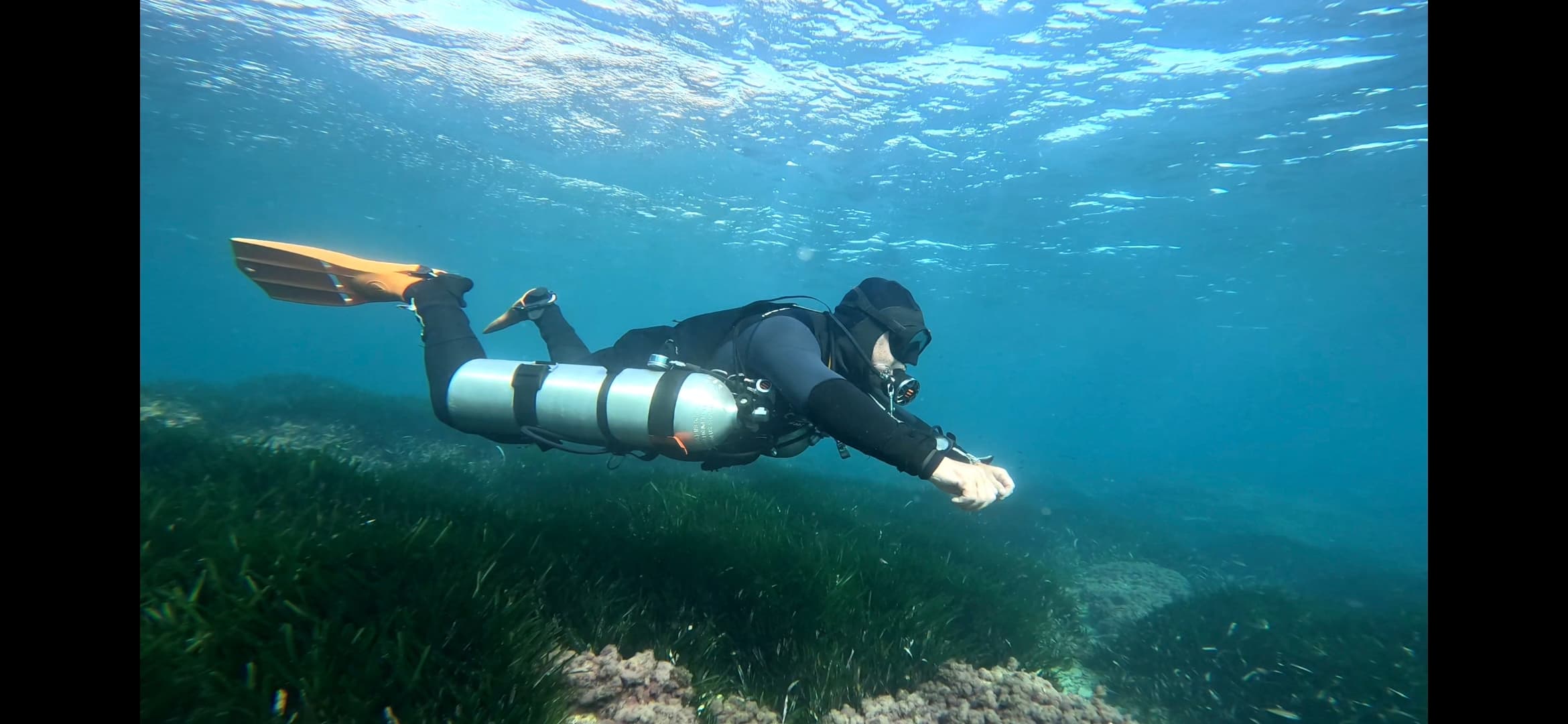 Fyne Diving
