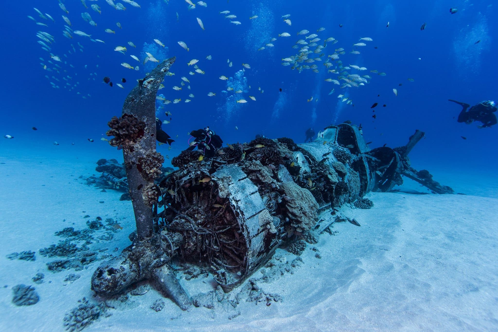 Aaron's Dive Shop