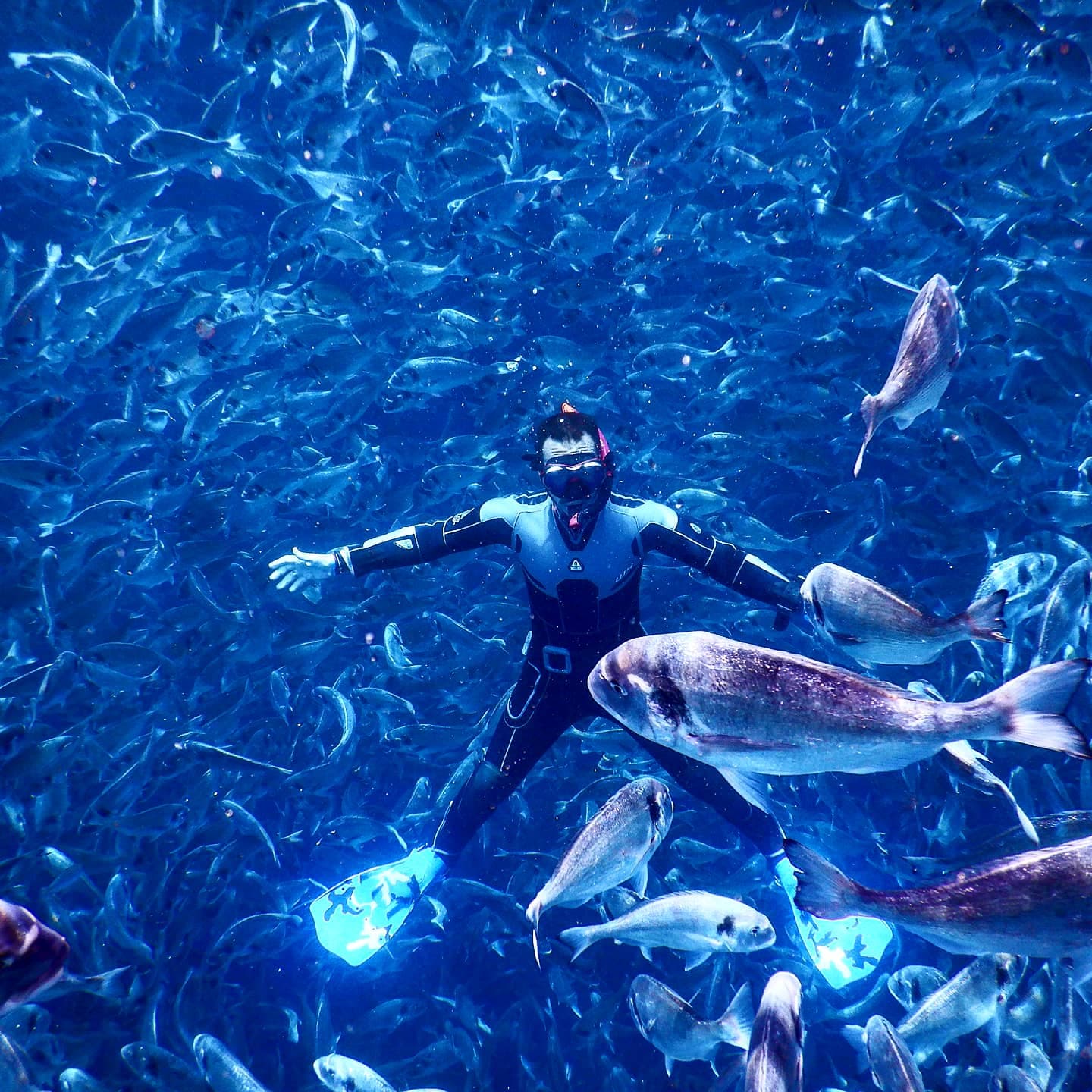 Chalki Dive Center