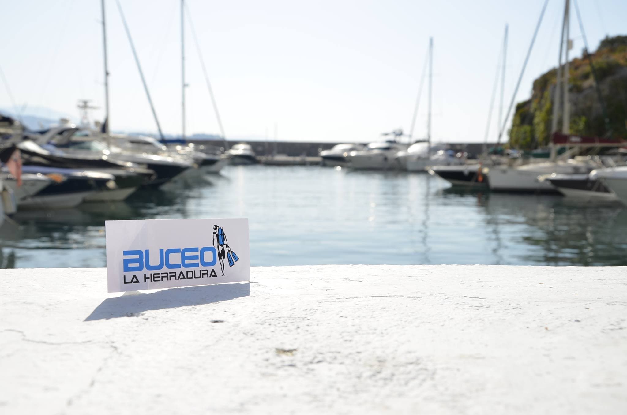 Buceo La Herradura