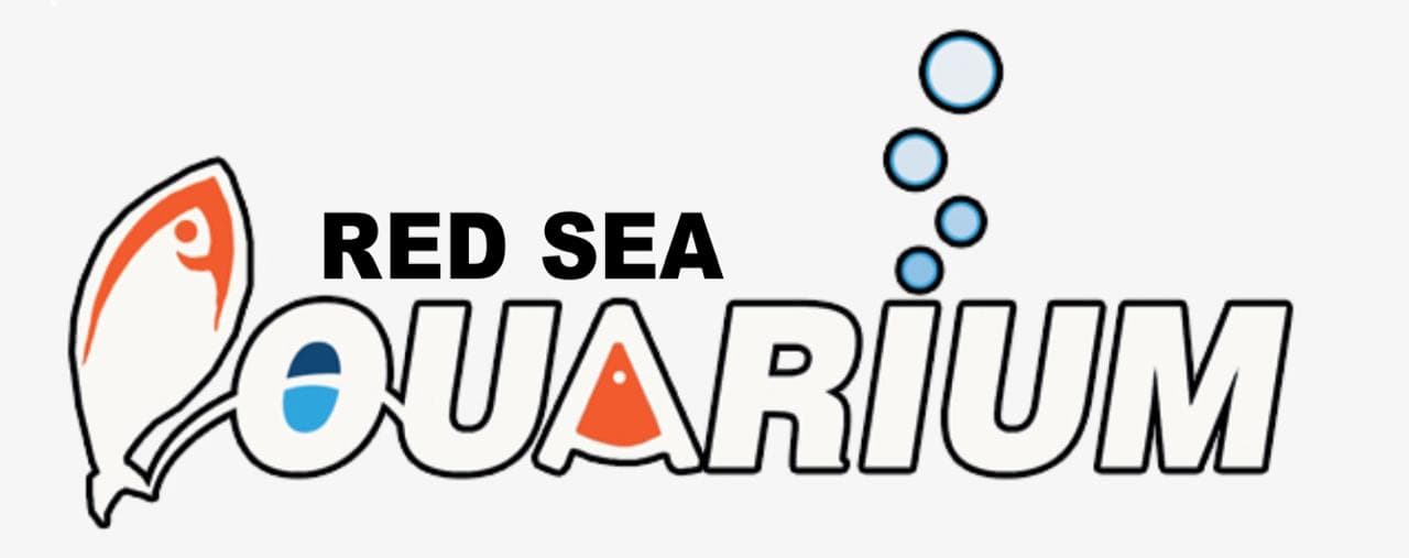 Aquarium Red Sea - Sharm