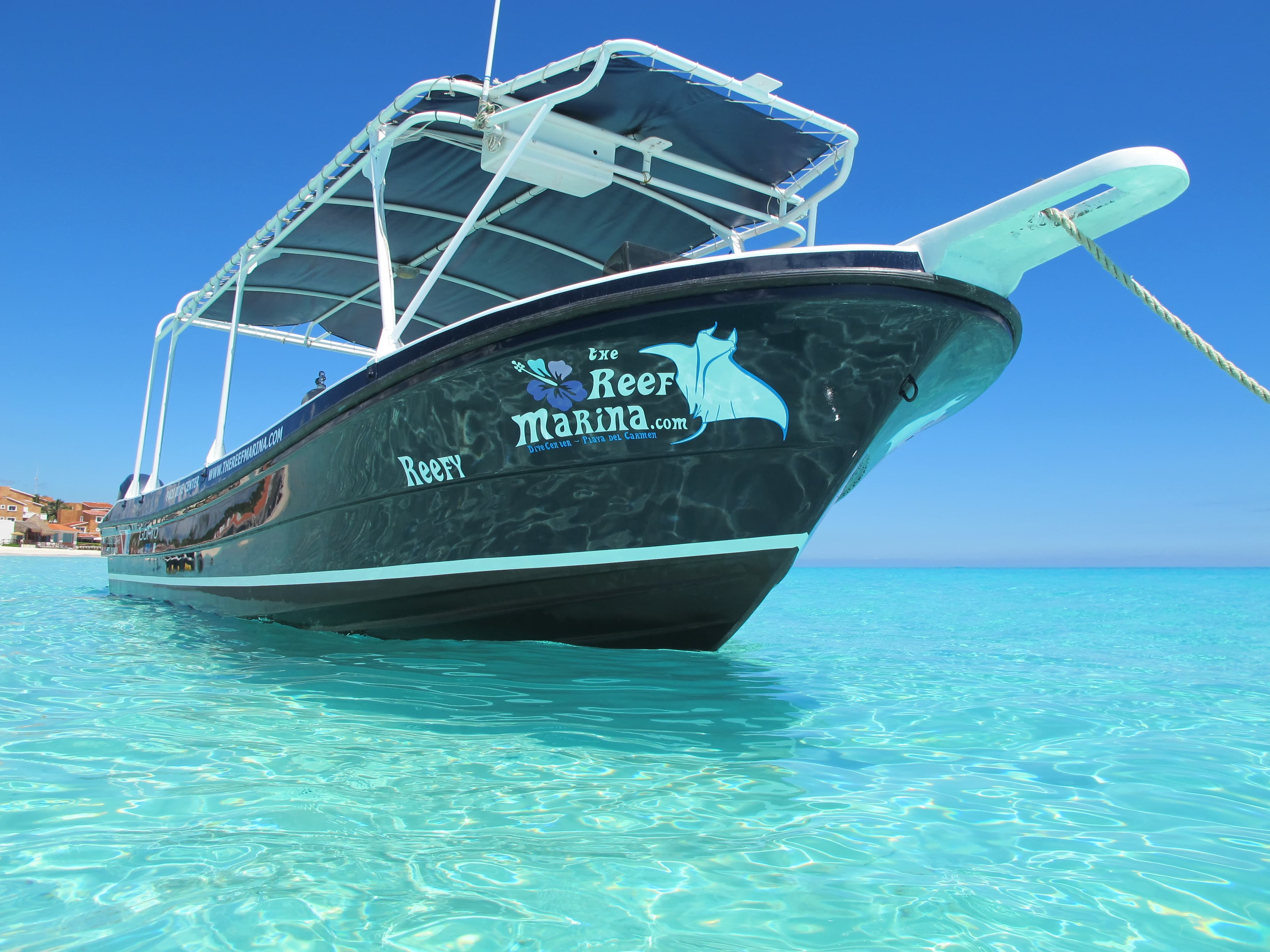 The Reef Marina