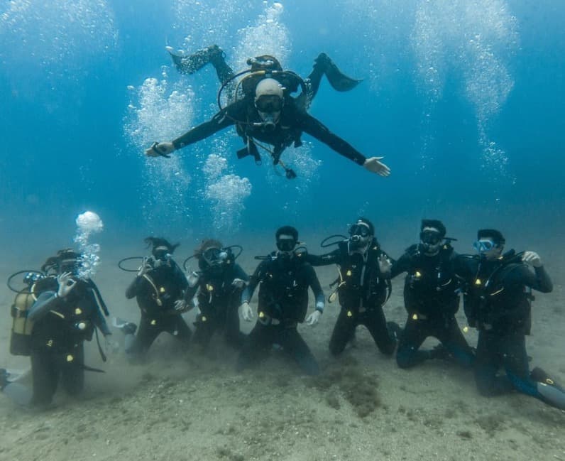 Medusadive