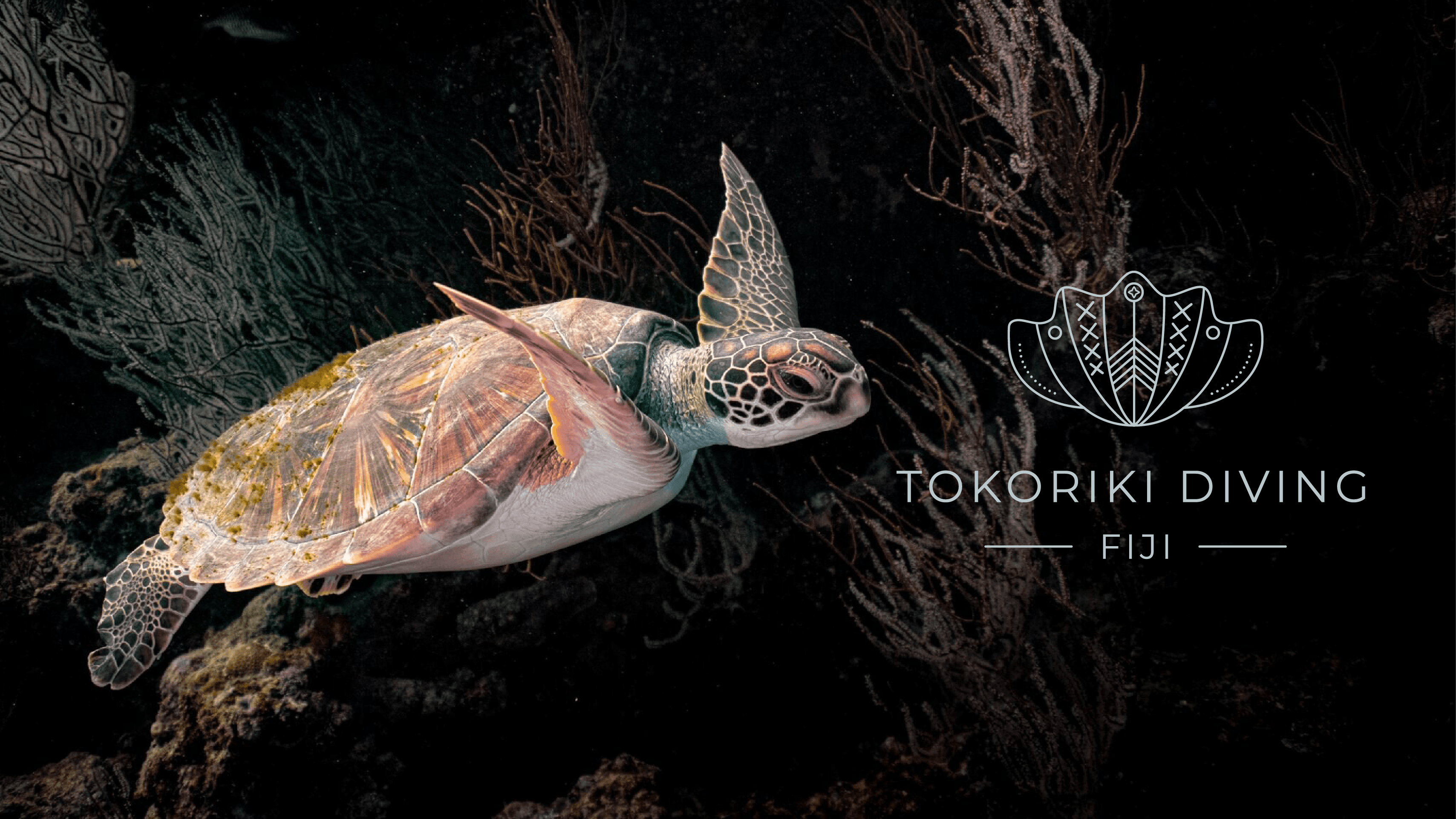 Tokoriki Diving