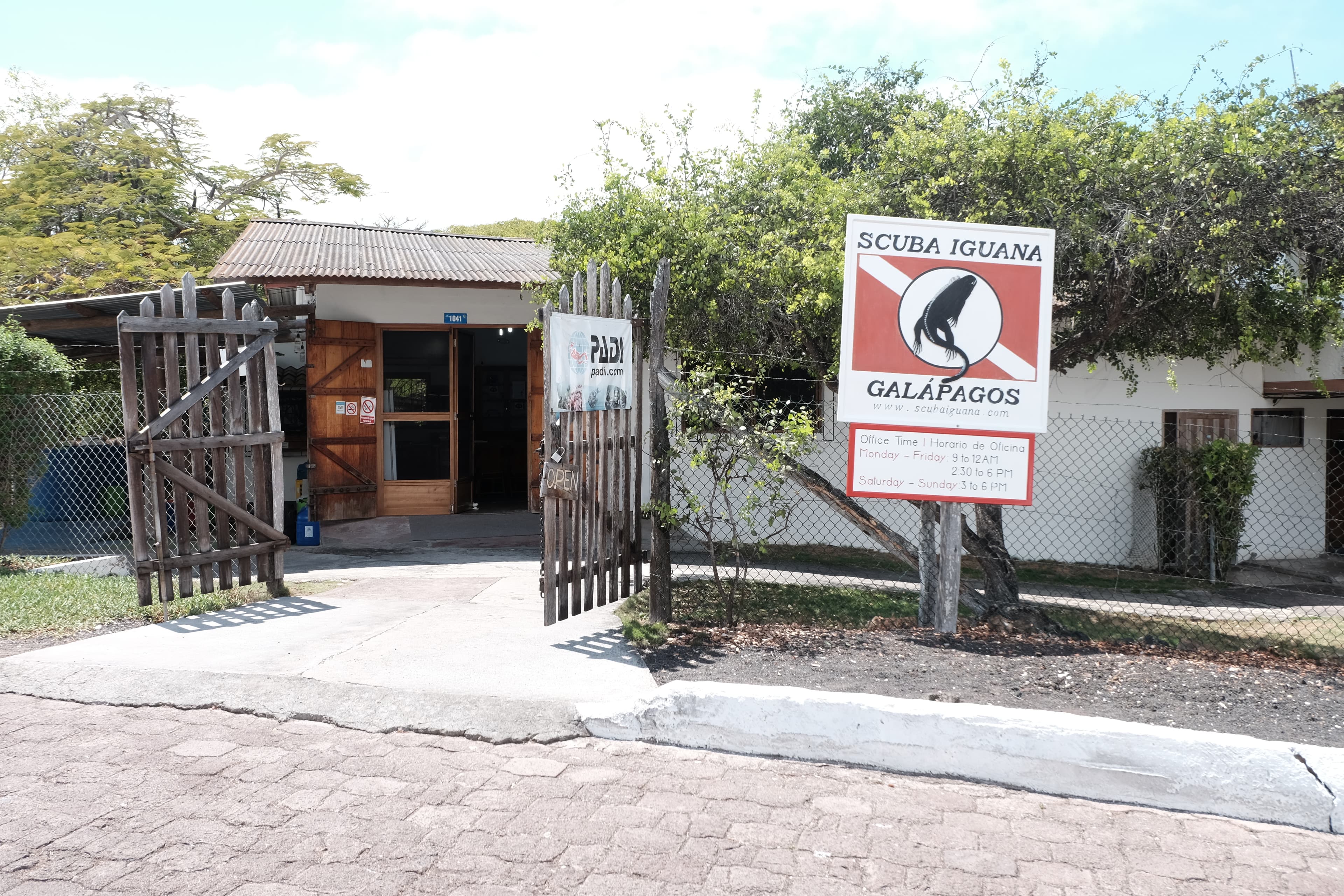 Scuba Iguana