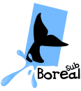 BOREALSUB logo
