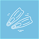 Duikschool Flippers Leuven logo