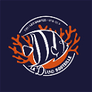 LA DIVE BOUTEILLE logo