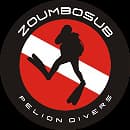 Zoumbosub logo