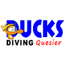 Ducks Diving Quesier logo