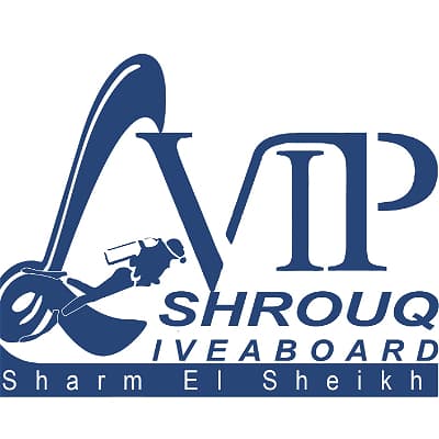 VIP Diving College
