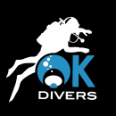 WWW.OKDIVERS.CZ logo