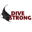 DIVESTRONG logo