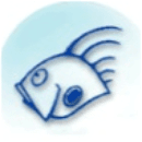 Adriadive DC logo
