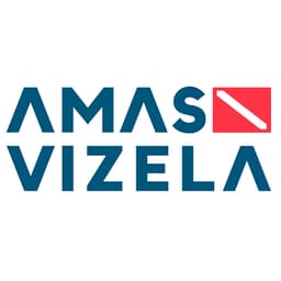 AMAS Vizela logo