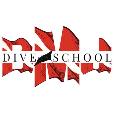 BMJ DIVE SCHOOL