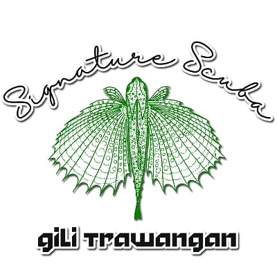 Signature Scuba