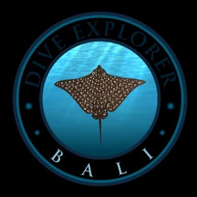 AMED DIVE EXPLORER