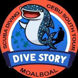 DIVESTORY logo